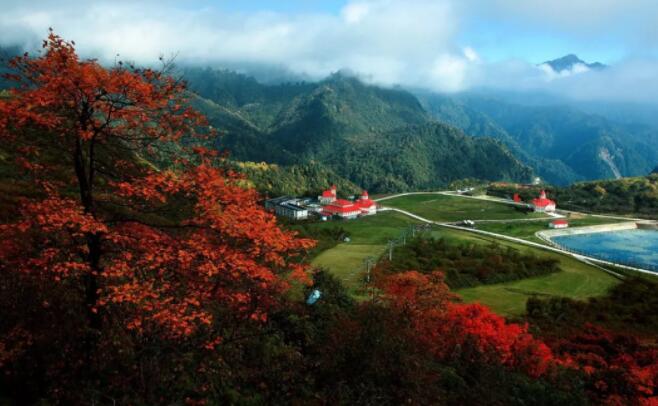 大邑雾山｜秋色与山为家 红叶与雾为衣！